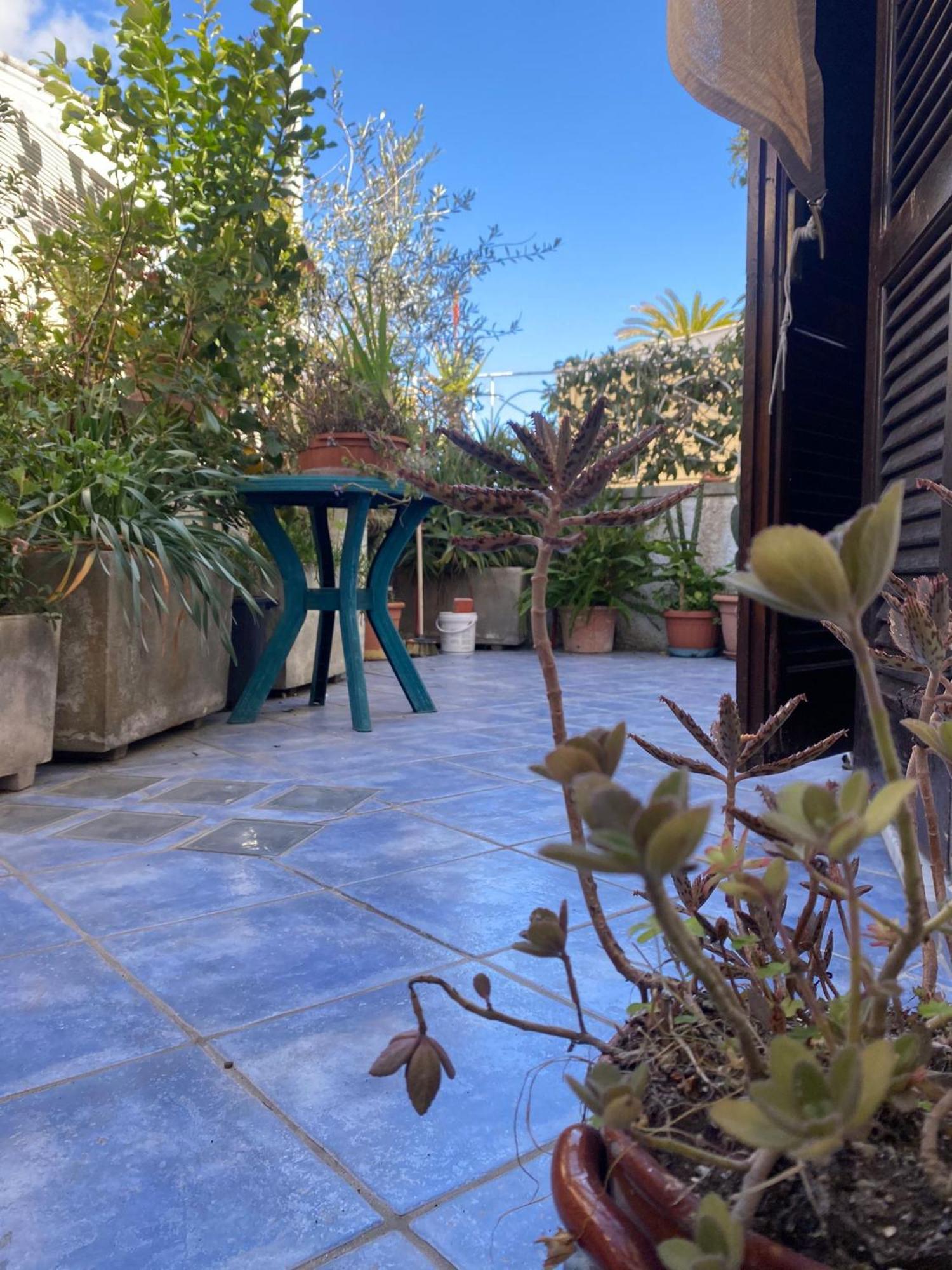 Casa Vacanza Maronti バラーノ・ディスキア エクステリア 写真